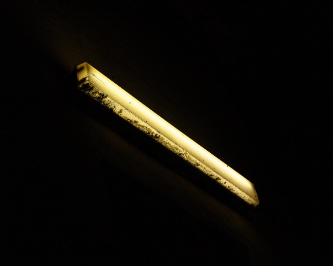 Rumour(c)SJField2019-6531