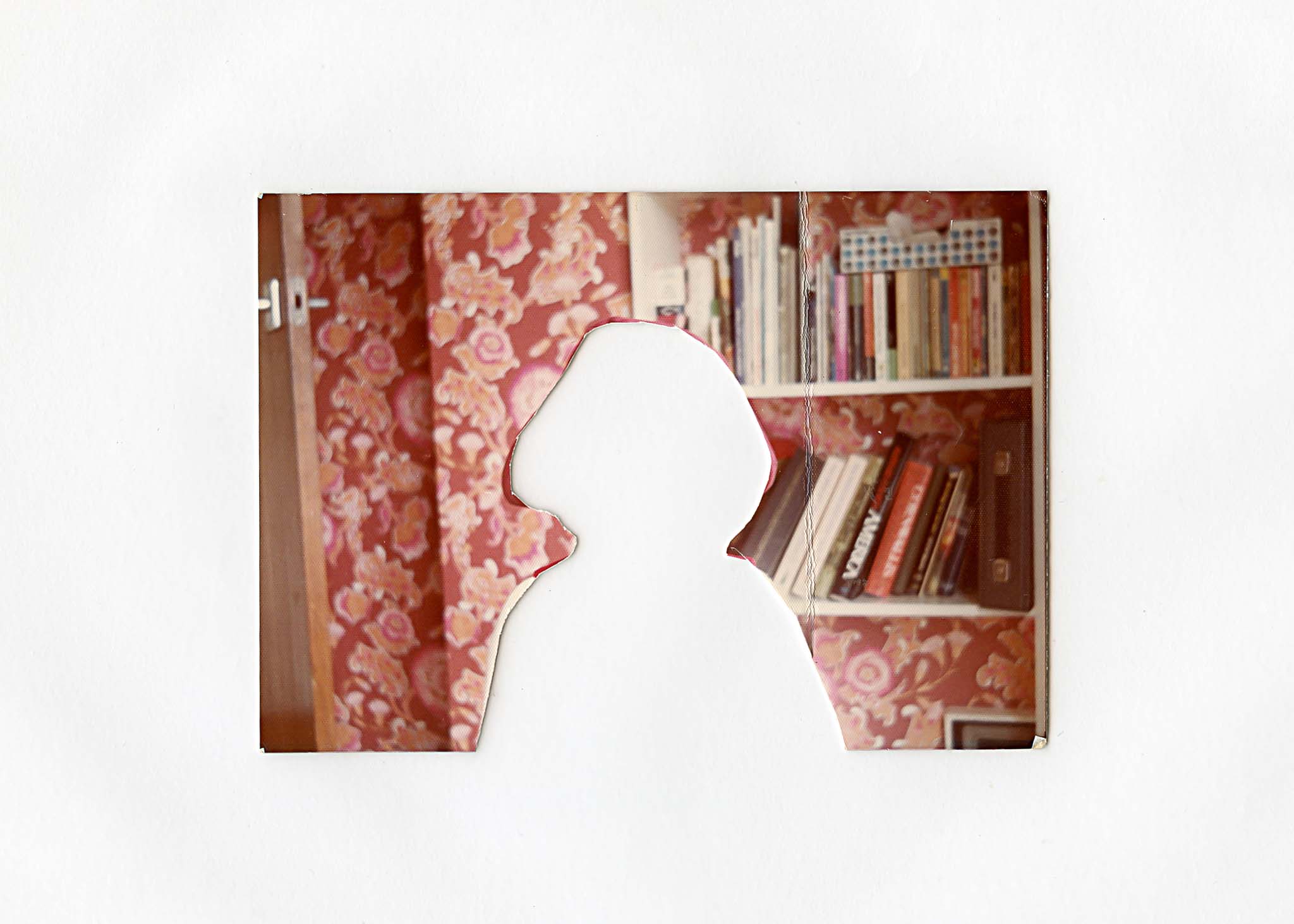 cutoutonalightboxwithouththelightturnedon(c)SJField2020-016