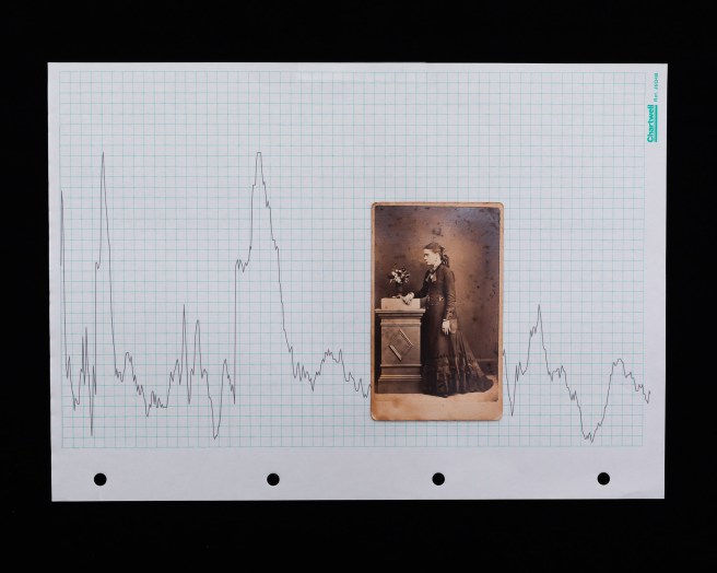 lightroom only(c)SJFIeld2020-