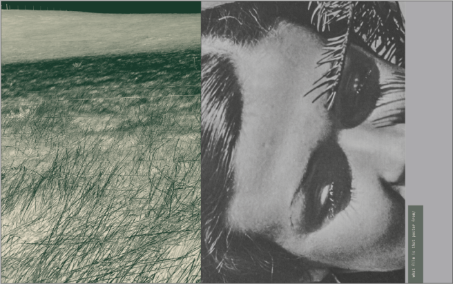 Screen Shot 2020-05-08 at 11.40.49.png