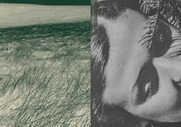 Screen Shot 2020-05-08 at 11.54.43.png